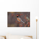 American Robin In Crab Apple Tree Wall Mural