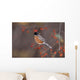 American Robin In Crab Apple Tree Wall Mural