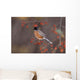 American Robin In Crab Apple Tree Wall Mural