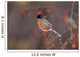 American Robin In Crab Apple Tree Wall Mural