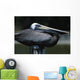 Profile Of Brown Pelican On Post Wall Mural