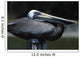 Profile Of Brown Pelican On Post Wall Mural