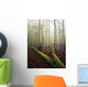Great Smoky Mountains National Park Wall Mural