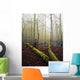 Great Smoky Mountains National Park Wall Mural
