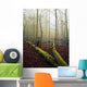 Great Smoky Mountains National Park Wall Mural