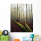 Great Smoky Mountains National Park Wall Mural