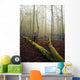Great Smoky Mountains National Park Wall Mural