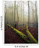 Great Smoky Mountains National Park Wall Mural