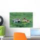 Two Wolves Running Through Meadow Wall Mural