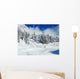 Skier on Winter Snow Wall Mural