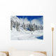 Skier on Winter Snow Wall Mural