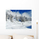 Skier on Winter Snow Wall Mural