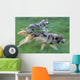 Wolves Running In Mountain Meadow, Blurred Focus Wall Mural