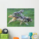 Wolves Running In Mountain Meadow, Blurred Focus Wall Mural