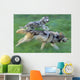 Wolves Running In Mountain Meadow, Blurred Focus Wall Mural