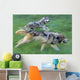 Wolves Running In Mountain Meadow, Blurred Focus Wall Mural
