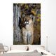 Mountain Lion Wall Mural
