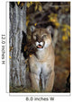 Mountain Lion Wall Mural