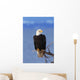 Perched Bald Eagle Wall Mural