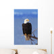 Perched Bald Eagle Wall Mural