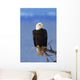 Perched Bald Eagle Wall Mural
