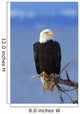 Perched Bald Eagle Wall Mural