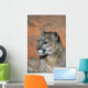 Portrait Of Mountain Lion Wall Mural