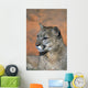 Portrait Of Mountain Lion Wall Mural