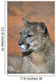 Portrait Of Mountain Lion Wall Mural