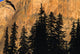 Tree Silhouettes In Front Of Cliff Face Wall Mural