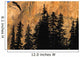 Tree Silhouettes In Front Of Cliff Face Wall Mural