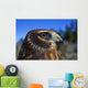 Northern Harrier Raptor In Profile Wall Mural