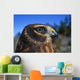 Northern Harrier Raptor In Profile Wall Mural