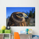 Northern Harrier Raptor In Profile Wall Mural