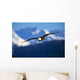 Bald Eagle Wall Mural