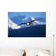 Bald Eagle Wall Mural