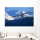 Bald Eagle Wall Mural