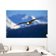 Bald Eagle Wall Mural