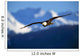 Bald Eagle Wall Mural