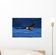 Bald Eagle Clutching Fish Wall Mural