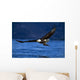 Bald Eagle Clutching Fish Wall Mural