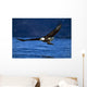Bald Eagle Clutching Fish Wall Mural