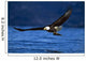 Bald Eagle Clutching Fish Wall Mural