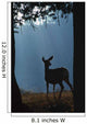 Deer In A Forest Wall Mural
