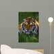 Siberian Tiger In Grass Wall Mural