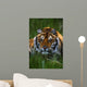 Siberian Tiger In Grass Wall Mural