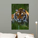 Siberian Tiger In Grass Wall Mural