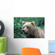 Alaskan Brown Bear Wall Mural