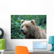 Alaskan Brown Bear Wall Mural