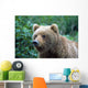 Alaskan Brown Bear Wall Mural